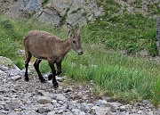 RIF.BENIGNI con CIMA PIAZZOTTI- VALPIANELLA ad anello, salito dalla Val Salmurano e disceso dalla Valpianella il 3 ott. 2019 - FOTOGALLERY